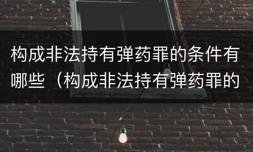 构成非法持有弹药罪的条件有哪些（构成非法持有弹药罪的条件有哪些标准）
