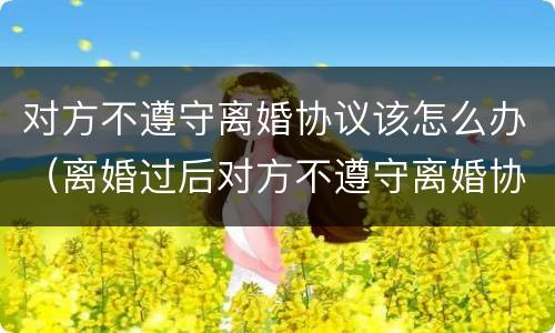 对方不遵守离婚协议该怎么办（离婚过后对方不遵守离婚协议怎么办）