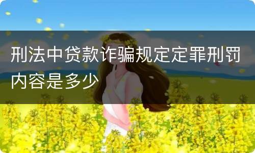 刑法中贷款诈骗规定定罪刑罚内容是多少