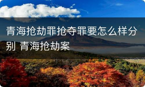 青海抢劫罪抢夺罪要怎么样分别 青海抢劫案