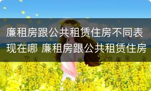 廉租房跟公共租赁住房不同表现在哪 廉租房跟公共租赁住房不同表现在哪方面