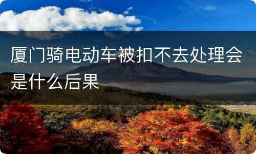 厦门骑电动车被扣不去处理会是什么后果