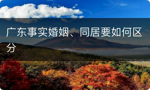 广东事实婚姻、同居要如何区分