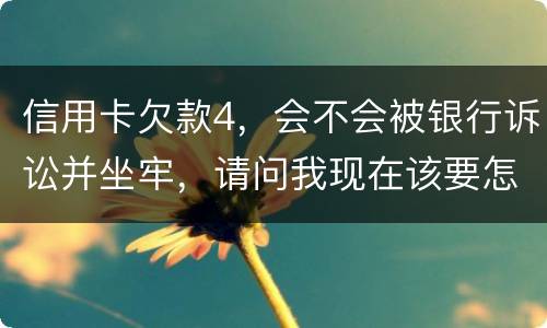 信用卡欠款4，会不会被银行诉讼并坐牢，请问我现在该要怎样办