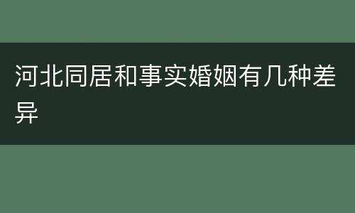 河北同居和事实婚姻有几种差异