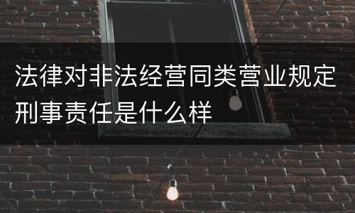 法律对非法经营同类营业规定刑事责任是什么样