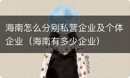 海南怎么分别私营企业及个体企业（海南有多少企业）