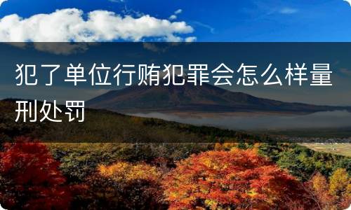 犯了单位行贿犯罪会怎么样量刑处罚