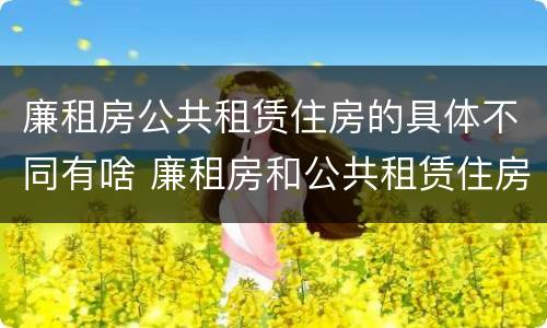 廉租房公共租赁住房的具体不同有啥 廉租房和公共租赁住房的区别