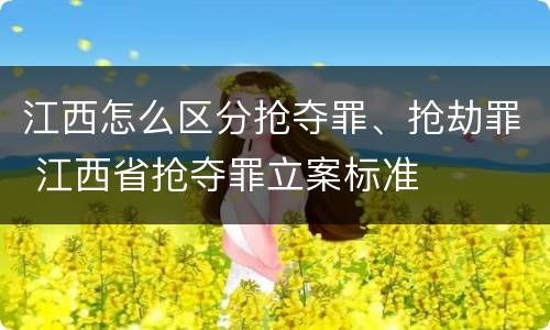 江西怎么区分抢夺罪、抢劫罪 江西省抢夺罪立案标准