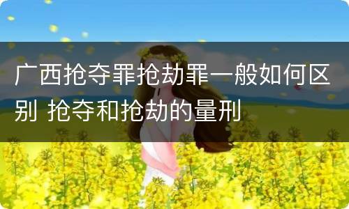 广西抢夺罪抢劫罪一般如何区别 抢夺和抢劫的量刑