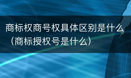 商标权商号权具体区别是什么（商标授权号是什么）