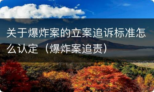 关于爆炸案的立案追诉标准怎么认定（爆炸案追责）