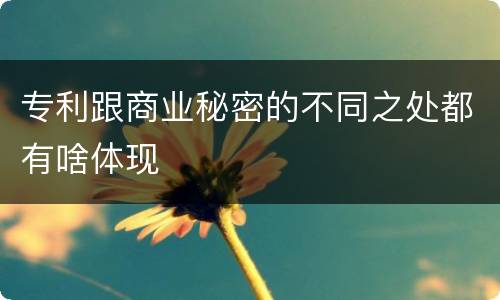 专利跟商业秘密的不同之处都有啥体现