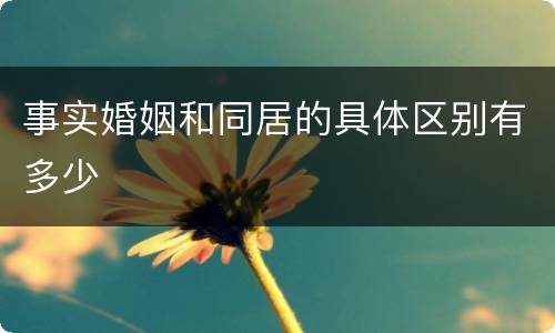 事实婚姻和同居的具体区别有多少