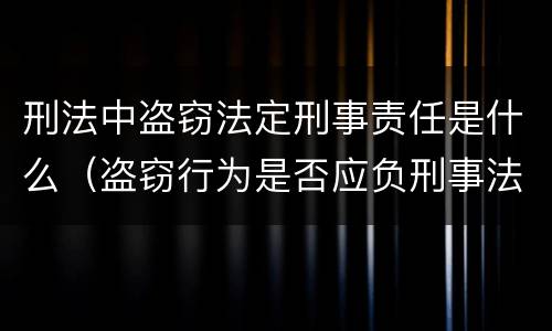 刑法中盗窃法定刑事责任是什么（盗窃行为是否应负刑事法律责任）