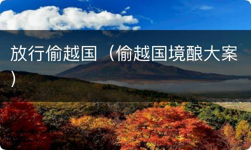 放行偷越国（偷越国境酿大案）