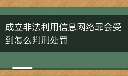 成立非法利用信息网络罪会受到怎么判刑处罚