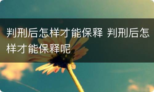 判刑后怎样才能保释 判刑后怎样才能保释呢