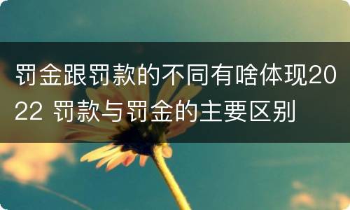 罚金跟罚款的不同有啥体现2022 罚款与罚金的主要区别