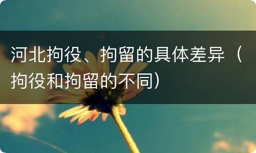 河北拘役、拘留的具体差异（拘役和拘留的不同）