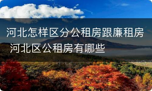 河北怎样区分公租房跟廉租房 河北区公租房有哪些