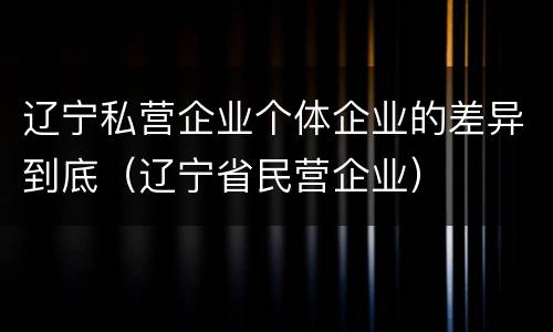 辽宁私营企业个体企业的差异到底（辽宁省民营企业）