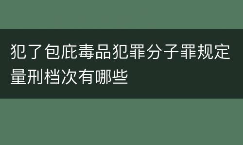 犯了包庇毒品犯罪分子罪规定量刑档次有哪些