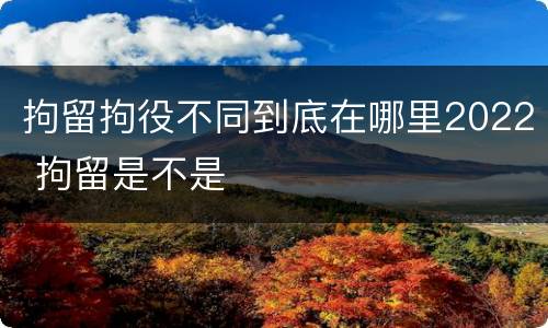拘留拘役不同到底在哪里2022 拘留是不是