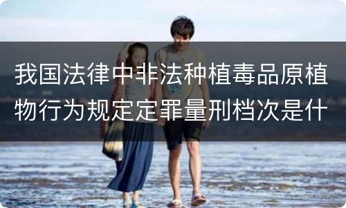 我国法律中非法种植毒品原植物行为规定定罪量刑档次是什么