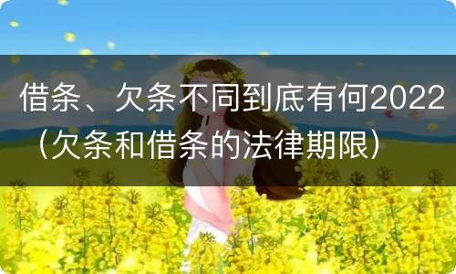 借条、欠条不同到底有何2022（欠条和借条的法律期限）