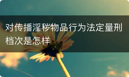 对传播淫秽物品行为法定量刑档次是怎样