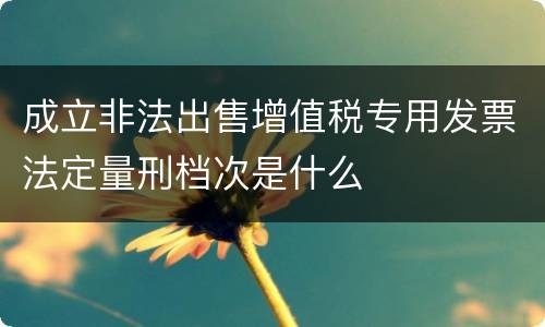 成立非法出售增值税专用发票法定量刑档次是什么