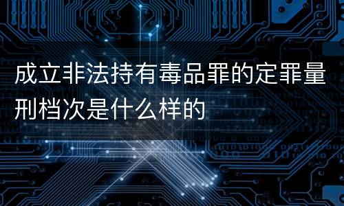 成立非法持有毒品罪的定罪量刑档次是什么样的