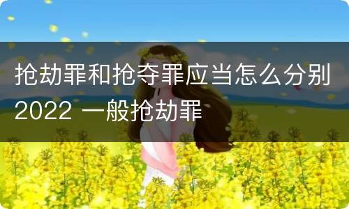 抢劫罪和抢夺罪应当怎么分别2022 一般抢劫罪