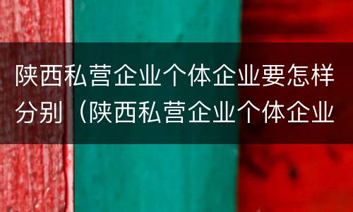 陕西私营企业个体企业要怎样分别（陕西私营企业个体企业要怎样分别注册）