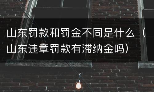 山东罚款和罚金不同是什么（山东违章罚款有滞纳金吗）