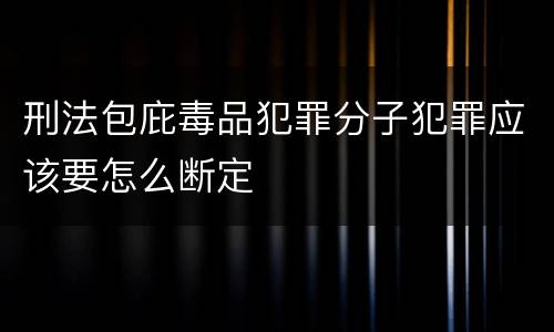 刑法包庇毒品犯罪分子犯罪应该要怎么断定
