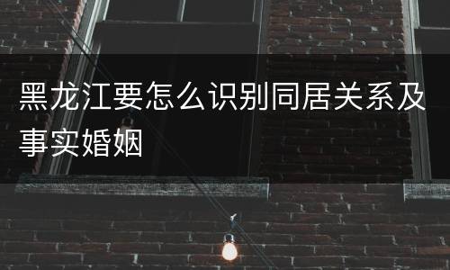 黑龙江要怎么识别同居关系及事实婚姻