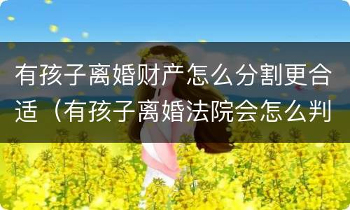 有孩子离婚财产怎么分割更合适（有孩子离婚法院会怎么判）