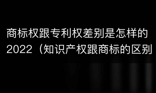 商标权跟专利权差别是怎样的2022（知识产权跟商标的区别）