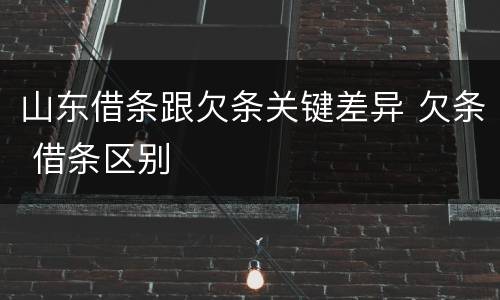 山东借条跟欠条关键差异 欠条 借条区别