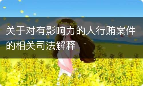 关于对有影响力的人行贿案件的相关司法解释