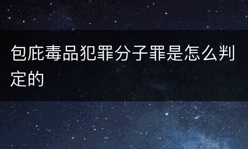 包庇毒品犯罪分子罪是怎么判定的