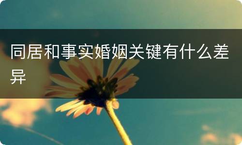 同居和事实婚姻关键有什么差异