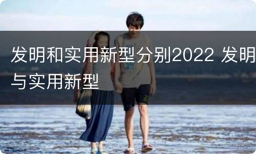 发明和实用新型分别2022 发明与实用新型