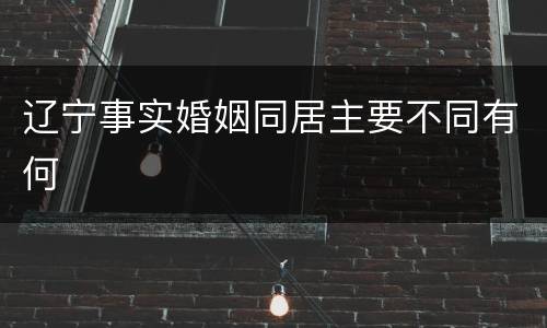 辽宁事实婚姻同居主要不同有何