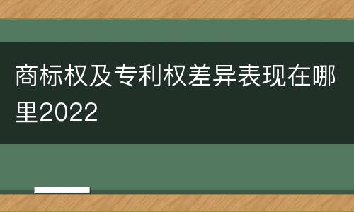 商标权及专利权差异表现在哪里2022
