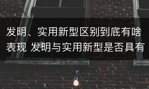 发明、实用新型区别到底有啥表现 发明与实用新型是否具有实用性