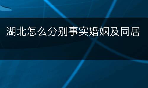 湖北怎么分别事实婚姻及同居